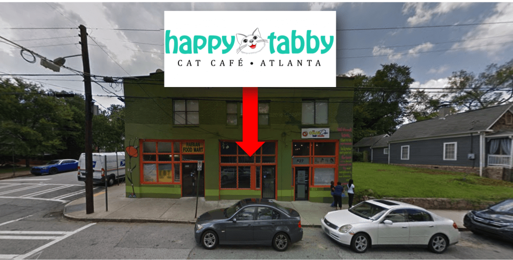 Revealed! Here's Where Happy Tabby, Atlanta's 'First' Cat Café, Is