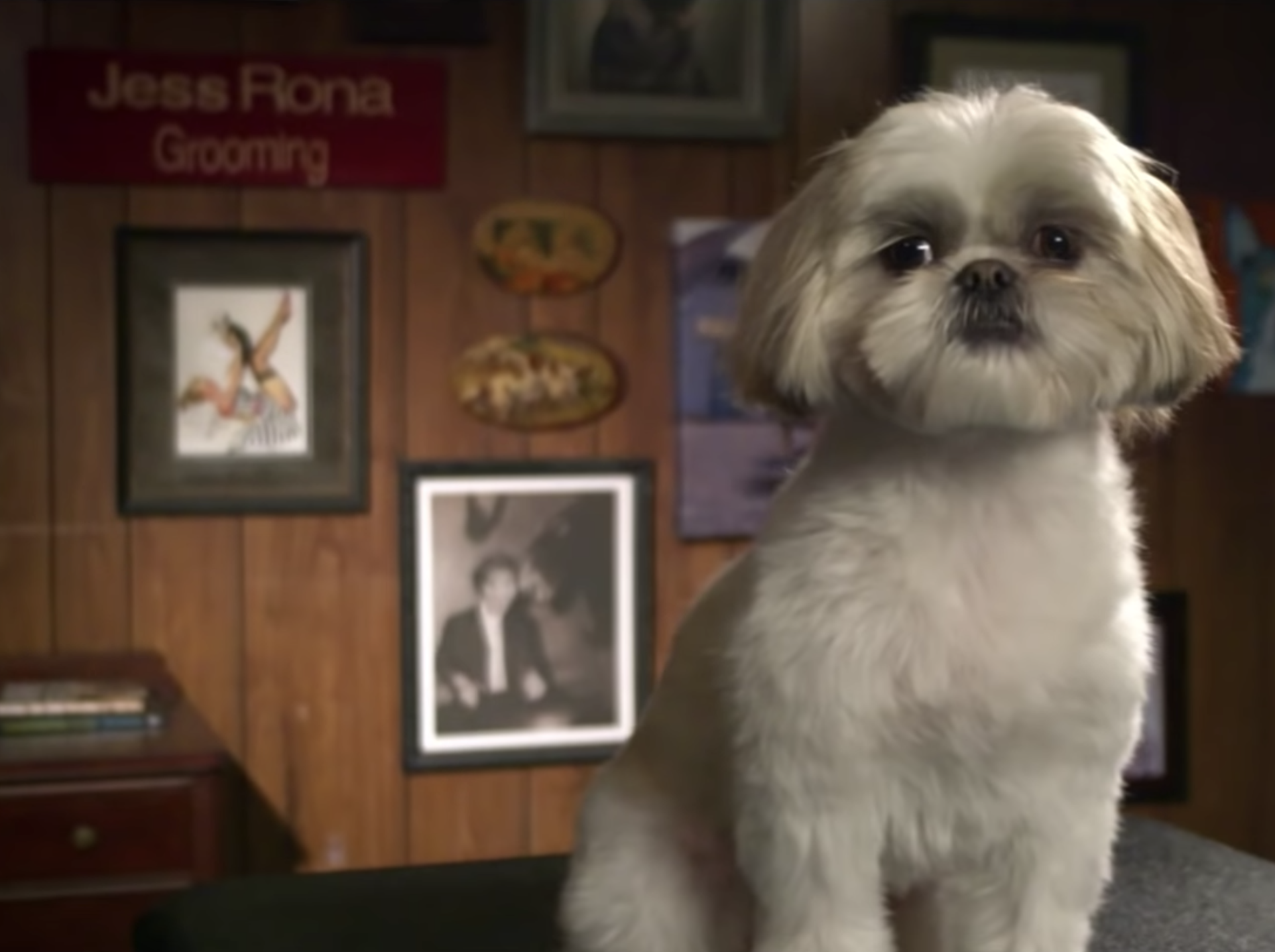 Celebrity Dog Groomer Jess Rona Grooming Opening Larchmont Village Brick and Mortar in March